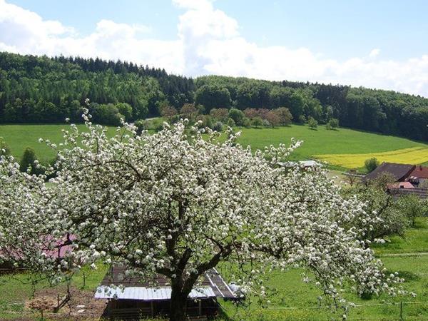 Ferienwohnung Wutachtal Impressionen Schwerzen 10