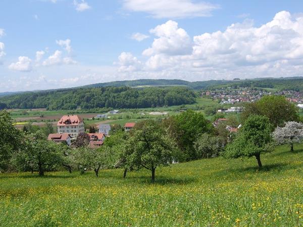 Ferienwohnung Wutachtal Impressionen Schwerzen 19