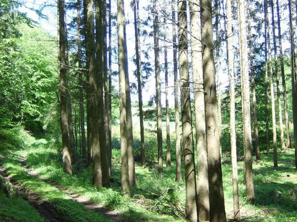 Ferienwohnung Wutachtal Impressionen Schwerzen 4