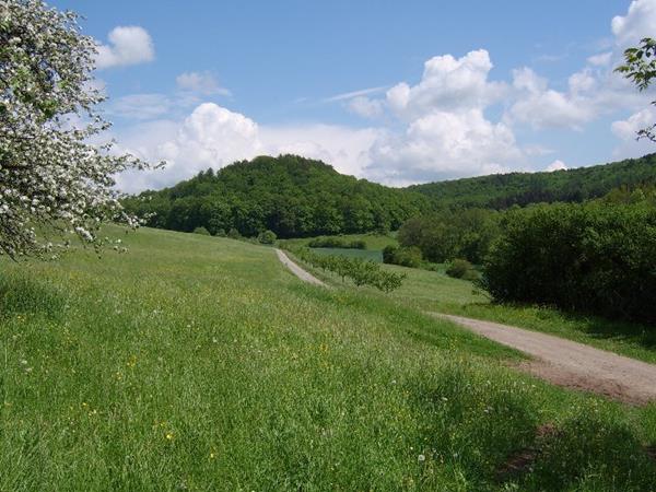 Ferienwohnung Wutachtal Impressionen Schwerzen 5